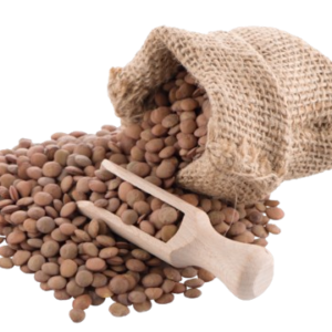 Brown Lentils