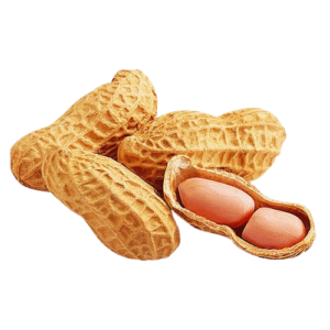 Peanuts