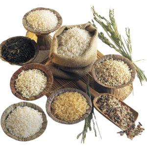 Rice