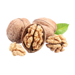 Walnut