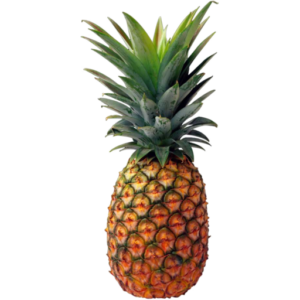 pineapple