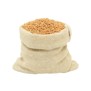 wheat