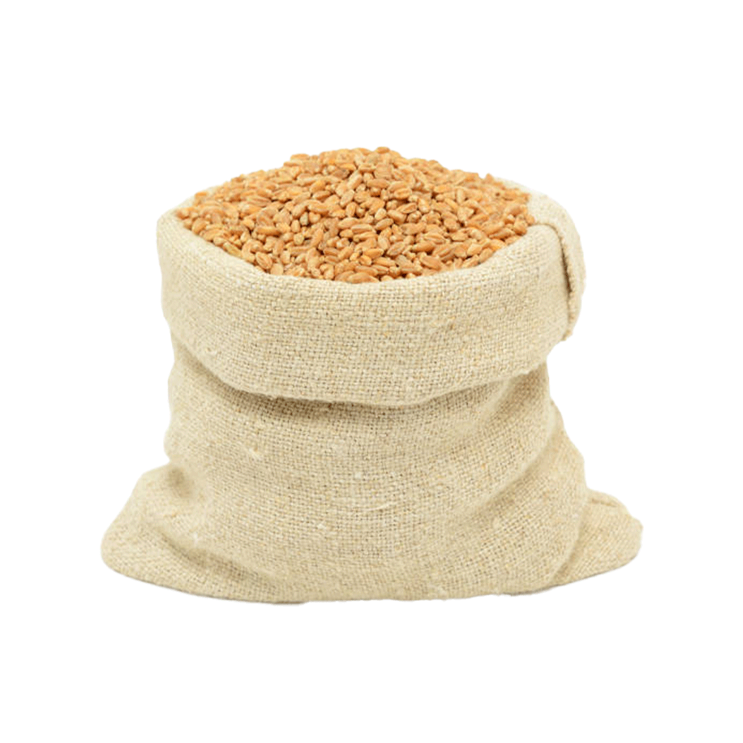 wheat